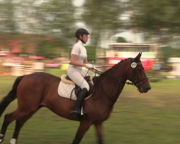Reitturnier Hille 2016