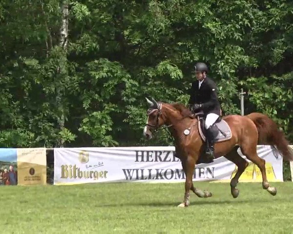 Reitturnier Leingarten 2016