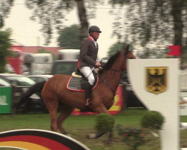 Reitturnier Hille 2016