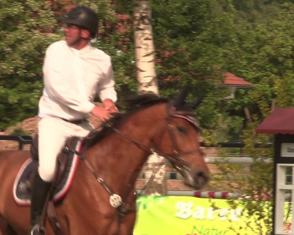 Reitturnier Hille 2016
