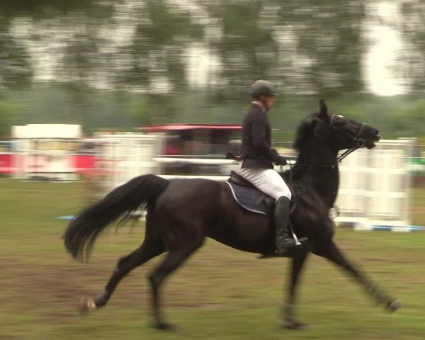 Reitturnier Hille 2016
