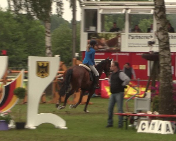 Reitturnier Hille 2016