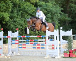 jumper Leotie KJ (Hanoverian, 2011, from Lord Pezi)