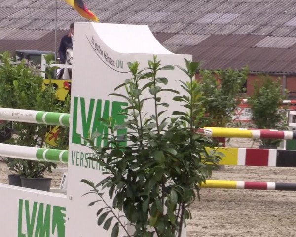 Reitturnier Bissendorf - Gut Stockum 2016