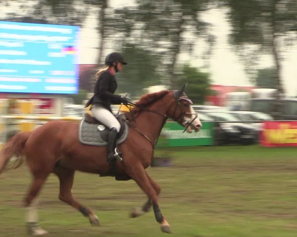 Reitturnier Hille 2016