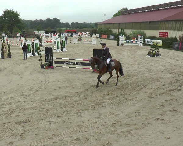 Reitturnier Kirchhellen/Stall Dieckmann 2016