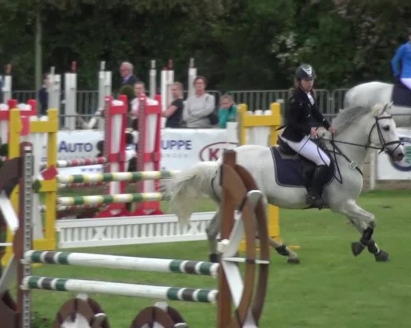 Reitturnier Düren - An der Kuhbrücke 2016