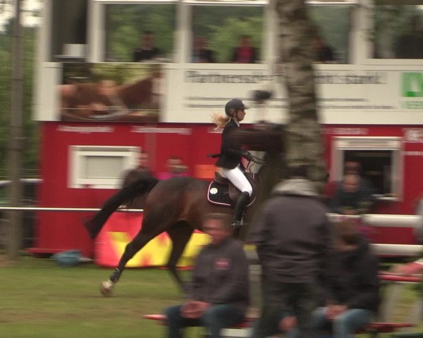 Reitturnier Hille 2016