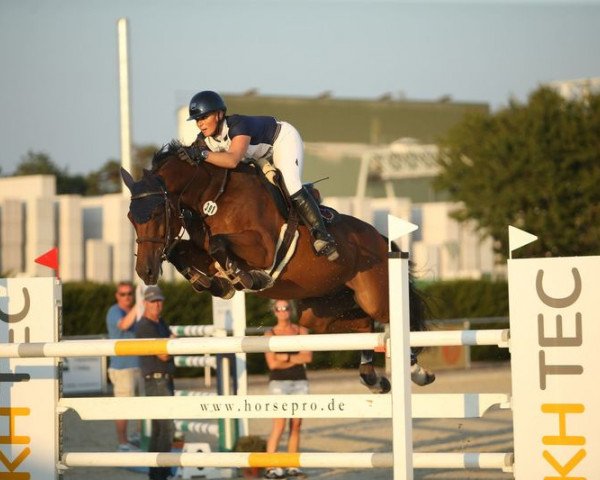 jumper Elliot VI (Holsteiner, 2005, from Ephebe For Ever)