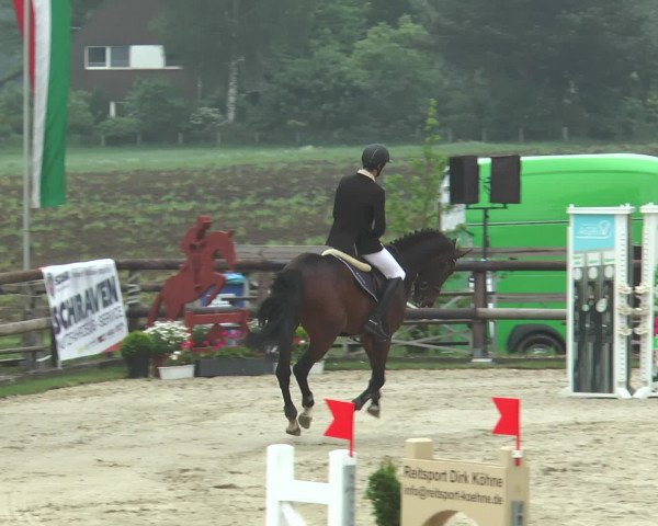 Reitturnier Kirchhellen/Stall Dieckmann 2016