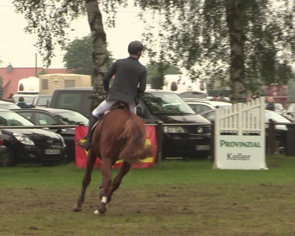 Reitturnier Hille 2016