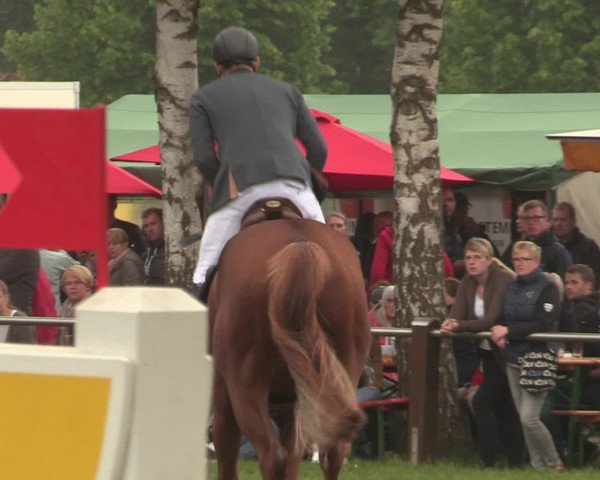 Reitturnier Hille 2016