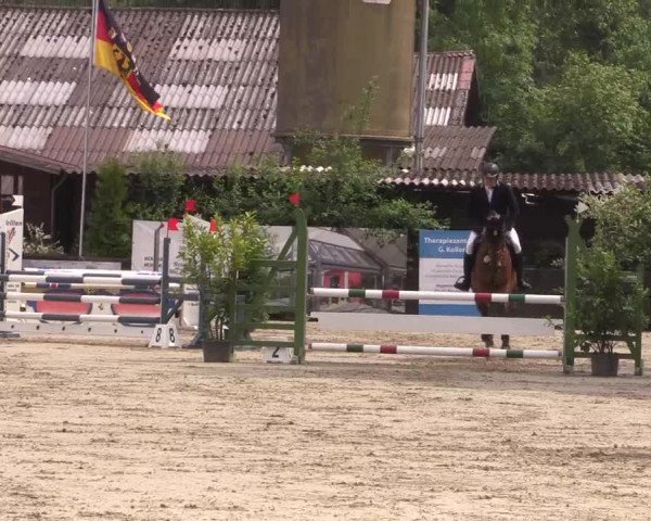 Reitturnier Bissendorf - Gut Stockum 2016