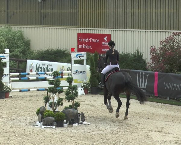 Reitturnier Kirchhellen/Stall Dieckmann 2016