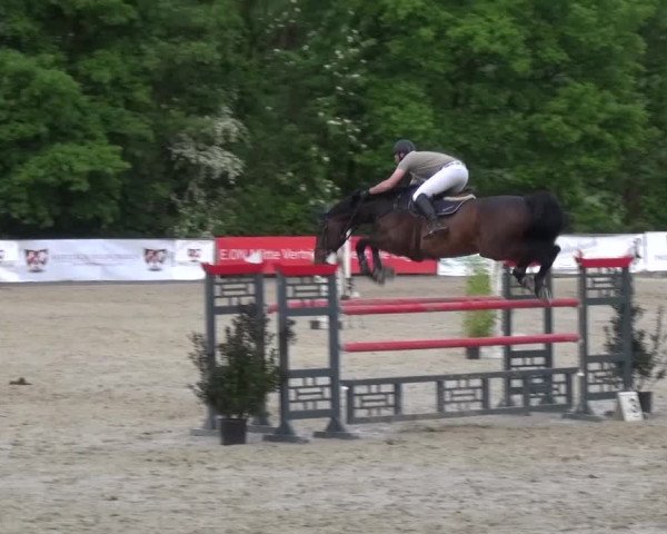 44. Drei-Länder-Challenge Haiger-Rodenbach 2016