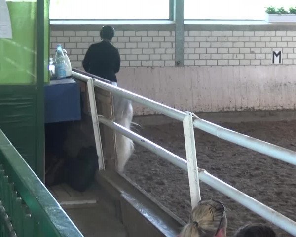Reitturnier Sprockhövel, Auf der Gethe 2016