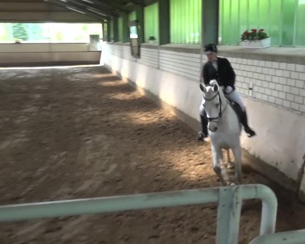 Reitturnier Sprockhövel, Auf der Gethe 2016