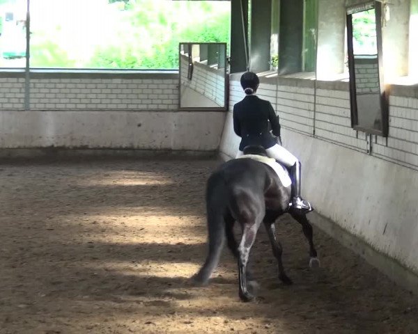 Reitturnier Sprockhövel, Auf der Gethe 2016