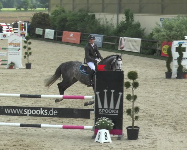 Reitturnier Kirchhellen/Stall Dieckmann 2016