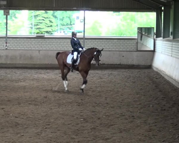 Reitturnier Sprockhövel, Auf der Gethe 2016