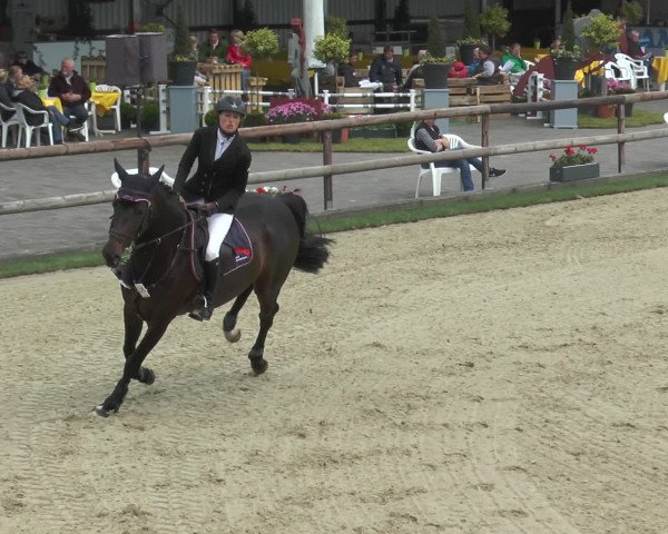 Reitturnier Kirchhellen/Stall Dieckmann 2016
