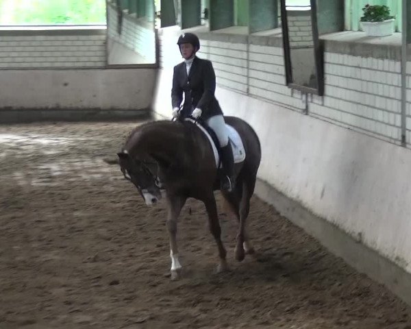 Reitturnier Sprockhövel, Auf der Gethe 2016