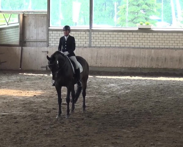 Reitturnier Sprockhövel, Auf der Gethe 2016
