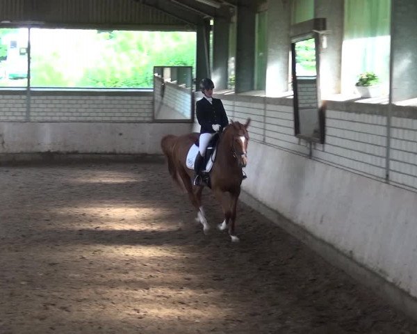 Reitturnier Sprockhövel, Auf der Gethe 2016