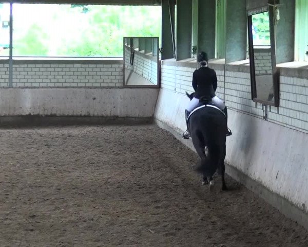 Reitturnier Sprockhövel, Auf der Gethe 2016