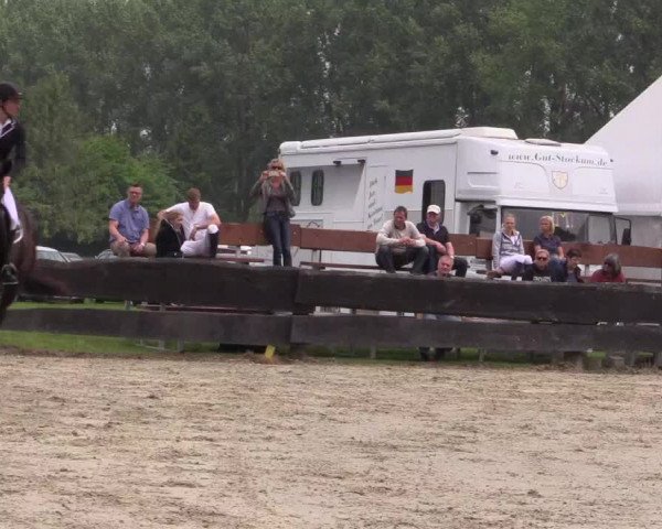 Reitturnier Bissendorf - Gut Stockum 2016