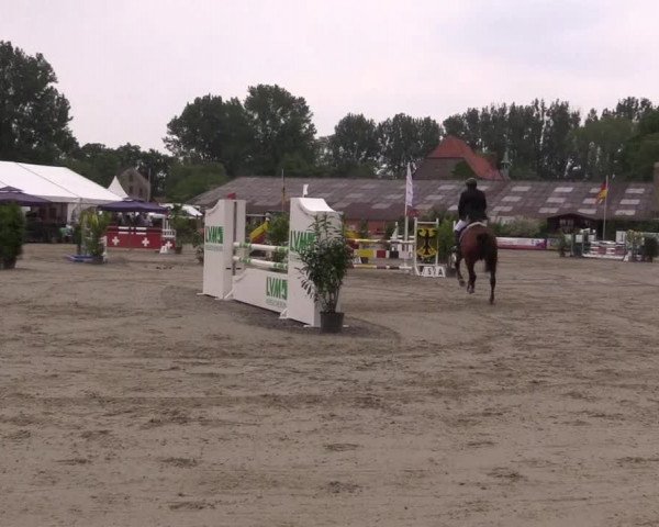 Reitturnier Bissendorf - Gut Stockum 2016