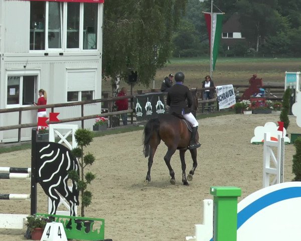 Reitturnier Kirchhellen/Stall Dieckmann 2016