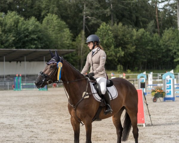 Springpferd Classic Lucy (Irish Sport Horse, 2013, von Pikatchu xx)