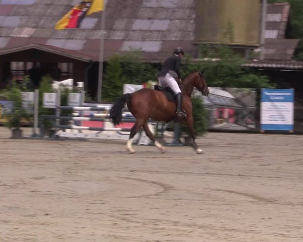 Reitturnier Bissendorf - Gut Stockum 2016