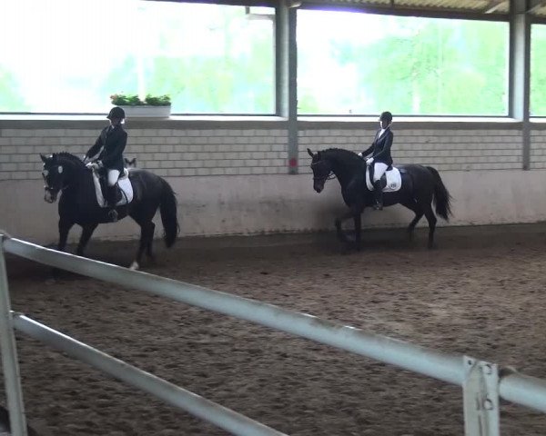Reitturnier Sprockhövel, Auf der Gethe 2016
