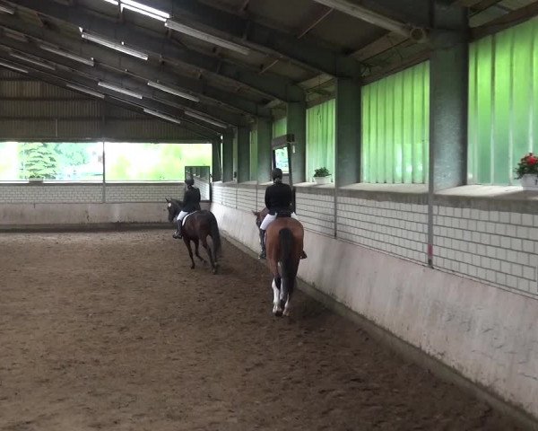 Reitturnier Sprockhövel, Auf der Gethe 2016
