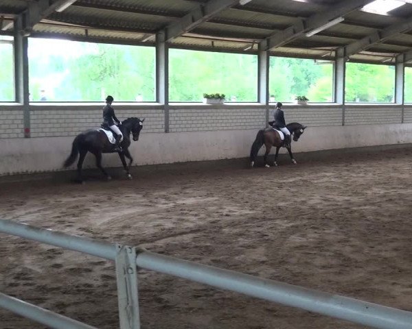 Reitturnier Sprockhövel, Auf der Gethe 2016