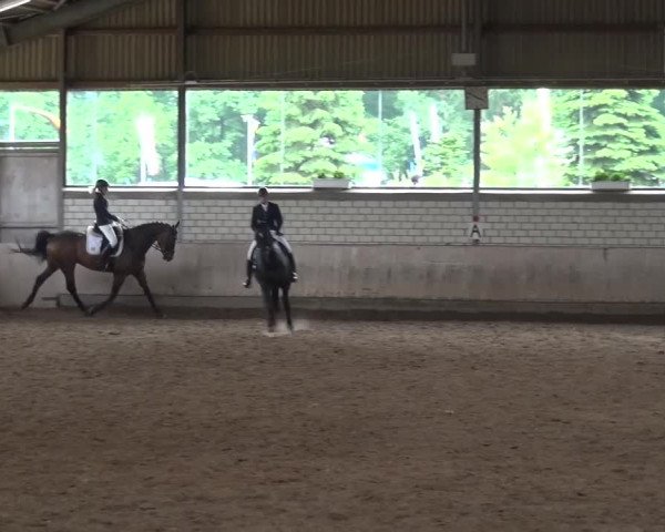 Reitturnier Sprockhövel, Auf der Gethe 2016