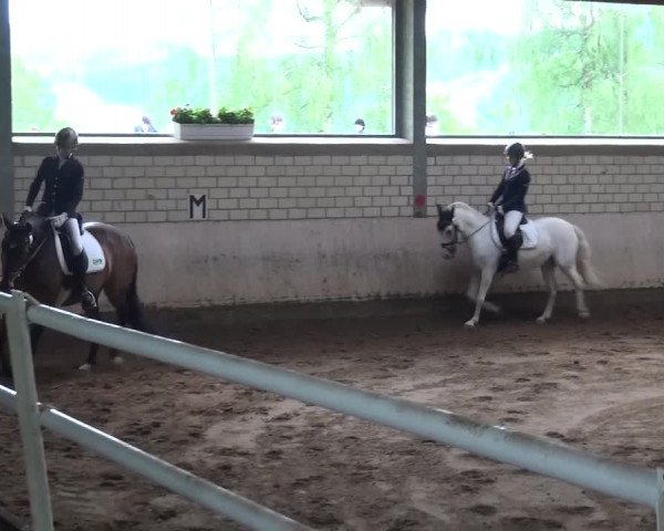 Reitturnier Sprockhövel, Auf der Gethe 2016