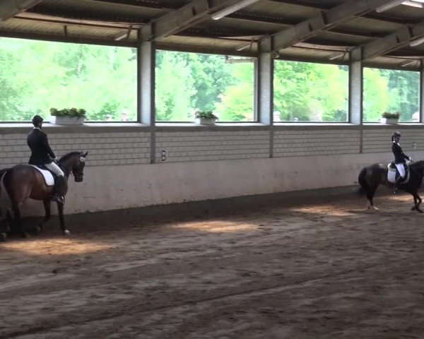 Reitturnier Sprockhövel, Auf der Gethe 2016
