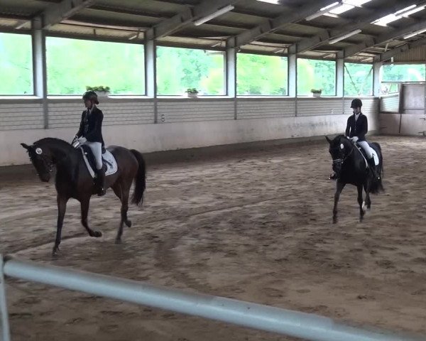Reitturnier Sprockhövel, Auf der Gethe 2016