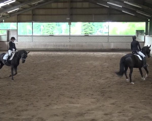 Reitturnier Sprockhövel, Auf der Gethe 2016