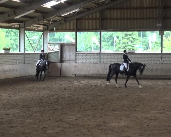 Reitturnier Sprockhövel, Auf der Gethe 2016