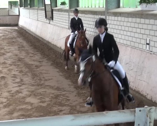 Reitturnier Sprockhövel, Auf der Gethe 2016