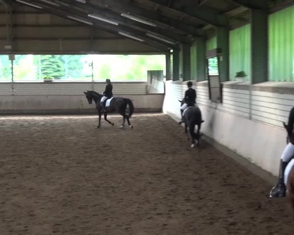 Reitturnier Sprockhövel, Auf der Gethe 2016