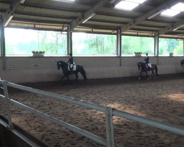 Reitturnier Sprockhövel, Auf der Gethe 2016