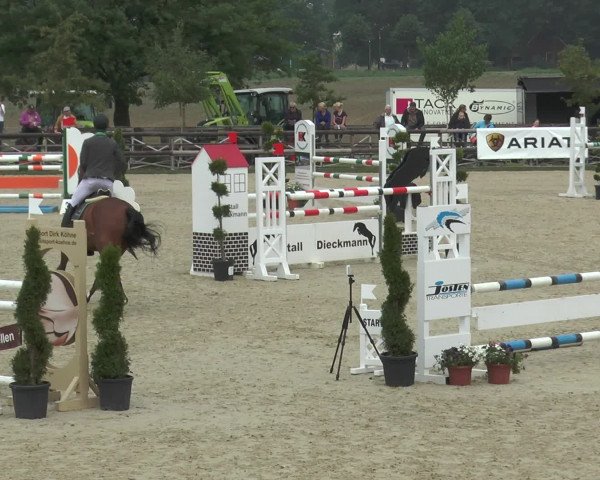 Reitturnier Kirchhellen/Stall Dieckmann 2016