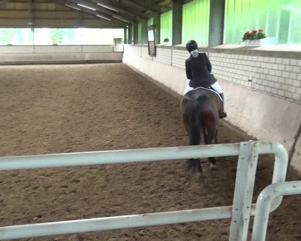 Reitturnier Sprockhövel, Auf der Gethe 2016