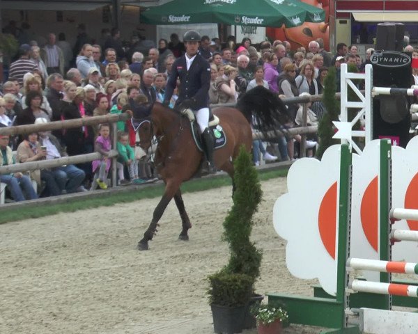 Reitturnier Kirchhellen/Stall Dieckmann 2016