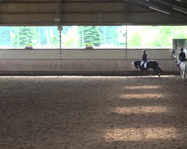 Reitturnier Sprockhövel, Auf der Gethe 2016